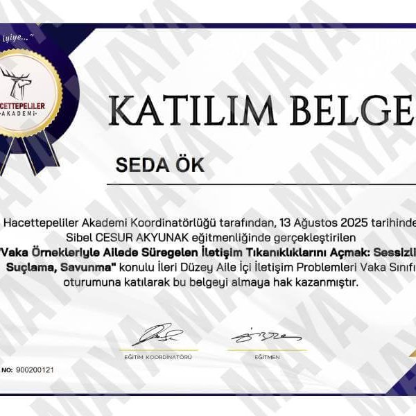 Maya Aile Danışmanlığı Danışman Seda Ök Çift İletişim Tıkanıklıklarını Açmak