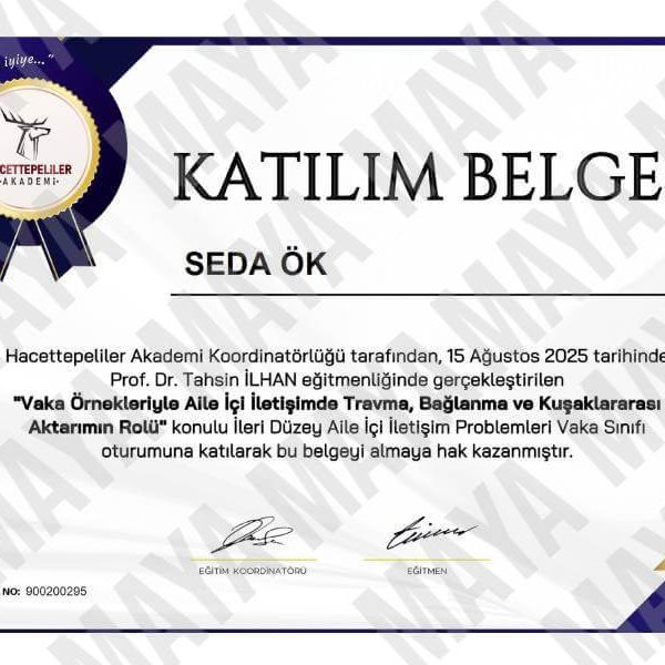 Maya Aile Danışmanlığı Danışman Seda Ök Çift Aile içi İletişimde Travma