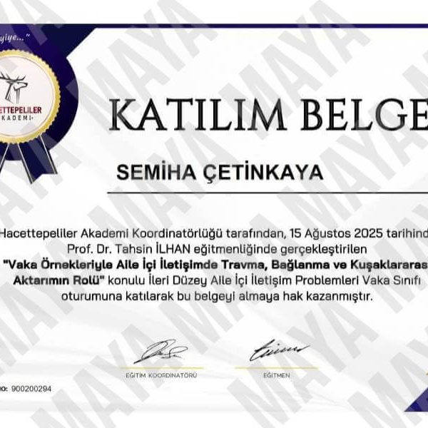 Maya Aile Danışmanlığı Danışman Semiha Çetinkaya Aile içi İletişimde Travma