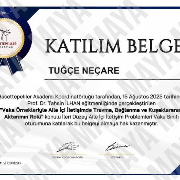 Maya Aile Danışmanlığı Danışman Tuğçe Neçare Aile içi İletişimde Travma