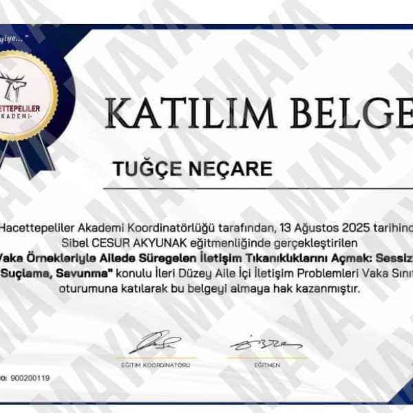 Maya Aile Danışmanlığı Danışman Tuğçe Neçare Ailede Süregelen İletişim Tıkanıklıklarını Açmak
